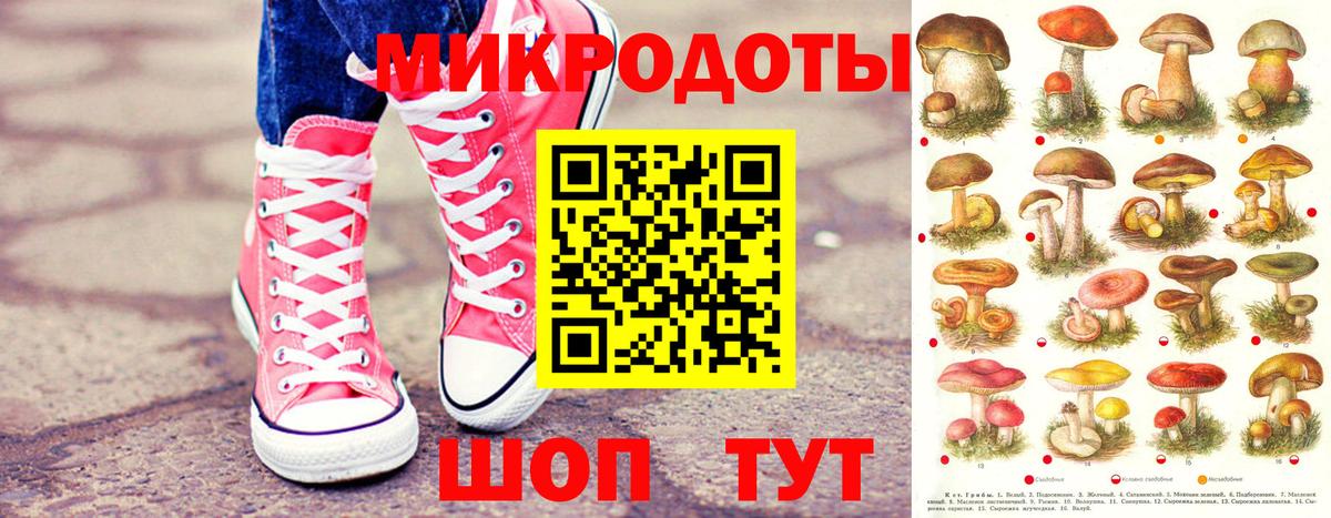 Галлюциногенные грибы Psilocybe Усолье-Сибирское